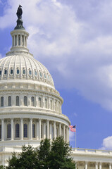 Wall Mural - US Capitol Building - Washington DC United States of America