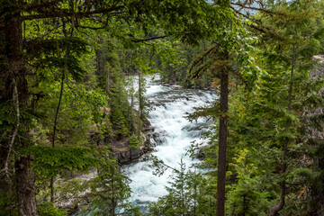 Wall Mural - Cascading water close to the McDonald Lake in the Glacier National Park, Montana