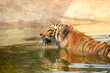 Tiger Chilling in the Pond