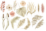 Fototapeta Boho - Watercolor boho flowers and leaves clipart. Dry palm branches, dried flowers and herbs. Pampas grass, white orchids. For cards, wedding invitations, posters, scrapbooking