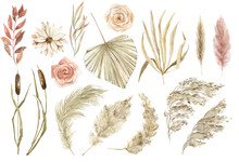 Watercolor Boho Flowers And Leaves Clipart. Dry Palm Branches, Dried Flowers And Herbs. Pampas Grass, White Orchids. For Cards, Wedding Invitations, Posters, Scrapbooking