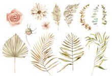 Watercolor Boho Flowers And Leaves Clipart. Dry Palm Branches, Dried Flowers And Herbs. Pampas Grass, White Orchids. For Cards, Wedding Invitations, Posters, Scrapbooking