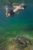 Fototapeta Łazienka - young man doing snorkeling with a turtle in mexico