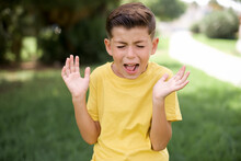 Crazy Outraged Caucasian Little Kid Boy Wearing Yellow T-shirt Standing Outdoors Screams Loudly And Gestures Angrily Yells Furiously. Negative Human Emotions Feelings Concept