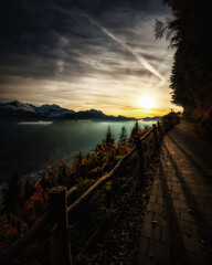 Wall Mural - Path to the Top
The path that leads you to the restaurant and view point at the top of Harder Kulm, also known as 