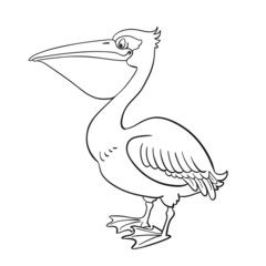 Wall Mural - Funny pelican.  Black and white picture in cartoon style. Isolated on white background. For coloring book. Vector illustration. 