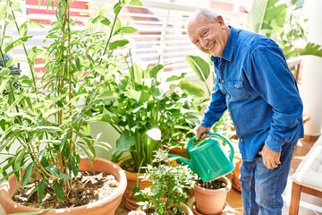 Wall Mural - Senior caucasian man smiling happy watering plants standing at the terrace.