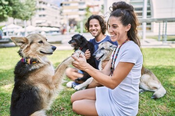 Poster - Man and woman couple smiling confident sitting on herb with dogs at park