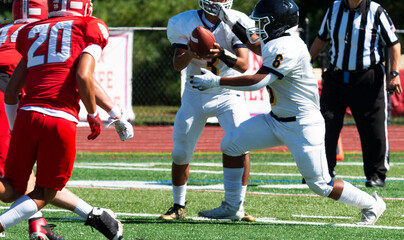 Wall Mural - Quarterback handing off to his running back during a football game