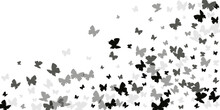 Magic Black Butterflies Cartoon Vector Wallpaper. Summer Beautiful Insects. Decorative Butterflies Cartoon Baby Background. Delicate Wings Moths Graphic Design. Garden Creatures.