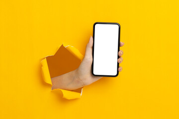 Wall Mural - woman hand holding a blank screen smart phone on a yellow background.