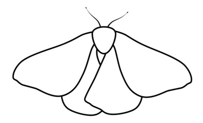 Wall Mural - Butterfly black and white outline illustration. Coloring book or page for kids