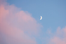 Half Moon White On A Blue Sky With Pink Clouds. Young Moon On A Beautiful Pastel Heavens