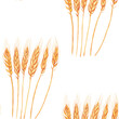 Wheat ear seamless pattern on white background. Watercolor hand drawing illustration. Golden spike texture for textile, wallpaper.