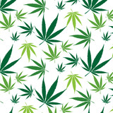 Fototapeta Sypialnia - Seamless pattern with green leaves cannabis on transparent background. Marijuana leaf vector illustration. 