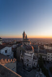 Fototapeta  - Vertical view of the Basilica of Santa Maria Maggiore in Bergamo Upper City seen from the Campanone at sunset.