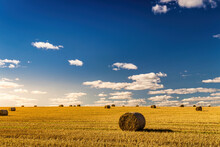 Scene With Haystacks On An Agricultural Field In Autumn Sunny Day. Rural Landscape With Cloudy Sky Background.