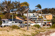 © Austockphoto - Palm tree on the coast blowing in strong sea wind