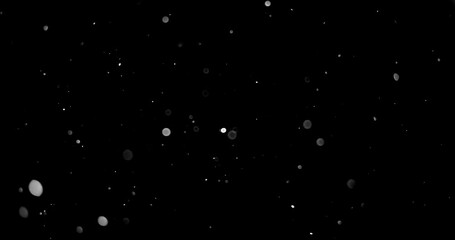 Wall Mural - Natural Organic Dust Particles Floating On Black Background. Dynamic Dust Particles Randomly Float In Space. Shimmering Glittering Dust Particles With Bokeh. Slow motion on Black Background.