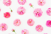 Pattern With Pink Flowers