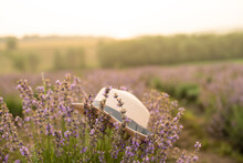 Summer Hat Over Lavender Flowers Against Sunlight