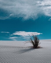 White Sand Dunes With Clouds And Lone Tree.