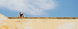 © Davide Zanin - Horizontal banner or header with back view of beautiful curvy woman with hat on historic building terrace at old town - Travel concept