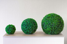 Three Decorative Balls Of Green Artificial Boxwood Stand On Wooden Surface Against Light-colored Wall. Interior Decorations.