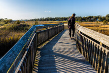 Boardwalk Trail On The Cherry Grove Marsh, Heritage Nature Preserve, Myrtle Beach, South Carolina, USA