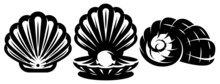 Vector Monochrome Set Of Illustration With Sea Shells. Template, Element For Design