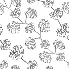 Wall Mural - Illustration of a black leaves monstera isolated on a white background. Seamless pattern