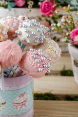 Canvas Print - Cake pops in pastel colors.