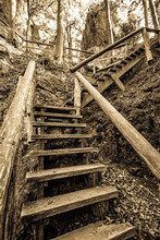 Wooden Steps At A Forest