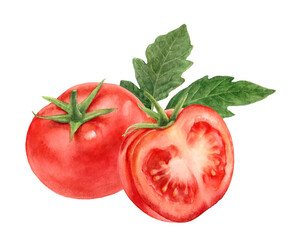 Wall Mural - Tomatoes half and cut watercolor illustration isolated on white background