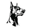 Black and White Doberman Pinscher Dog. Vector illustration.
