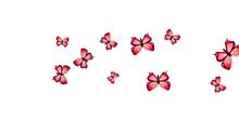 Fairy Red Butterflies Cartoon Vector Background. Spring Ornate Insects. Simple Butterflies Cartoon Dreamy Wallpaper. Delicate Wings Moths Patten. Garden Creatures.
