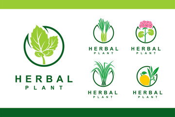 Canvas Print - herbal plants logo with multiple concept