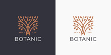 Tree Of Life Logo Icon. Abstract Nature Branch With Leaves Business Sign. Square Garden Plant Natural Line Symbol. Vector Illustration.