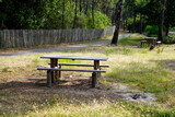 Fototapeta Konie - single wood bench pic-nic wooden table empty in forest park