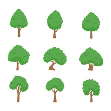 Vector Green Tree Element. Fertile Forest For Decoration