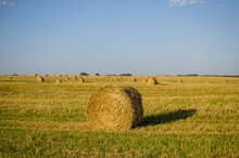 Field Of Hay Bales On A Summer Day Illuminated By The Sun At Sunset