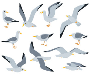 Wall Mural - Cartoon seagull birds, sitting, flying and walking gulls birds. Marine seabird, atlantic gulls characters isolated vector illustration set. Seagull bird