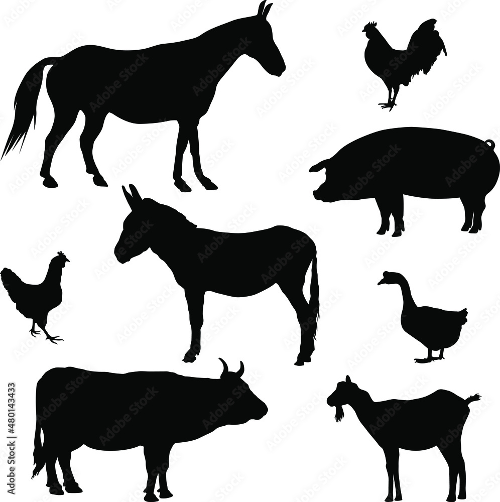 Farm animals silhouettes. Collection of domestic cattle. Vector ...