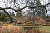 Fototapeta Miasta - Landscape in RHS garden Harlow Carr