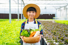 Portrait Of Little Asian Boy Farmer Holding Organic Lettuce Vegetable In The Basket In Greenhouse Garden. Child Boy Kid Learning Hydroponic System In Vegetable Farm. Education And Healthy Food Concept