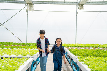 Little Asian boy and girl learning hydroponics system farm together in greenhouse garden. Two children kid holding and checking organic lettuce in vegetable garden. Education and healthy food concept