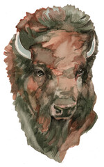 Wall Mural - The American bison watercolor portrait