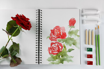 Canvas Print - Painting of roses in sketchbook, flower and art supplies on white background, top view