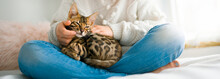 Bengal Cat In The Bed Room With Child Girl