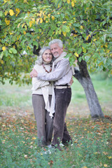 Sticker - Portrait of beautiful senior couple in the park